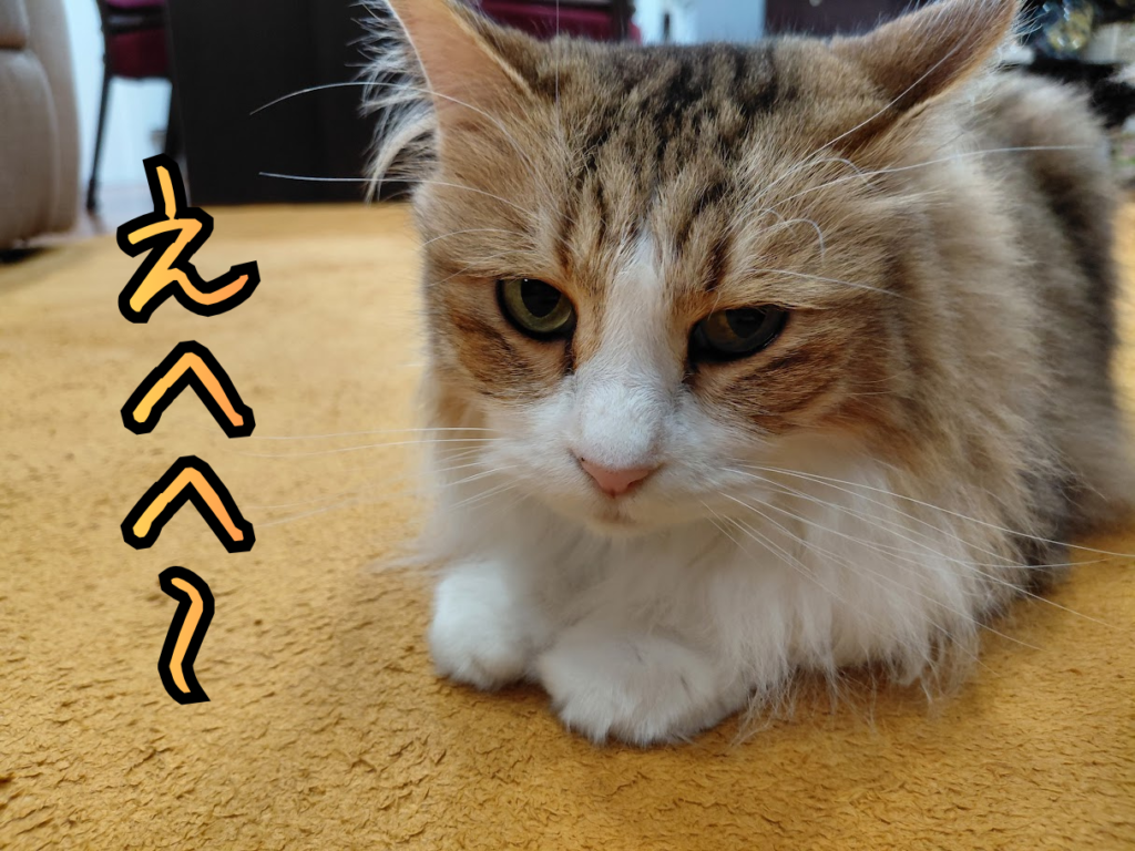 吐いた後しれーっとしているチャタロウ