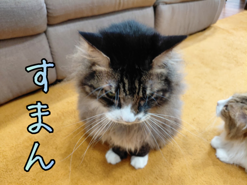 吐いた後反省している風のクロスケ