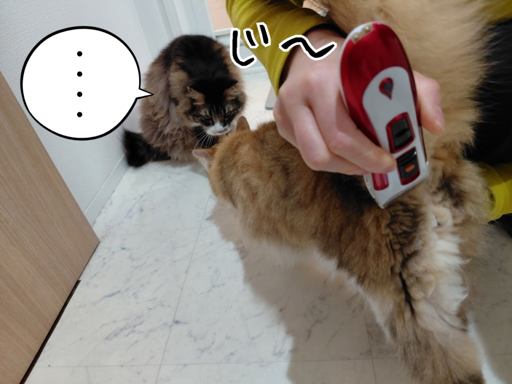 されるがままのチャタロウ。その様子をじっと見守るクロスケ。